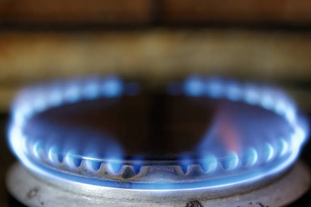 Llama azul de una cocina de gas